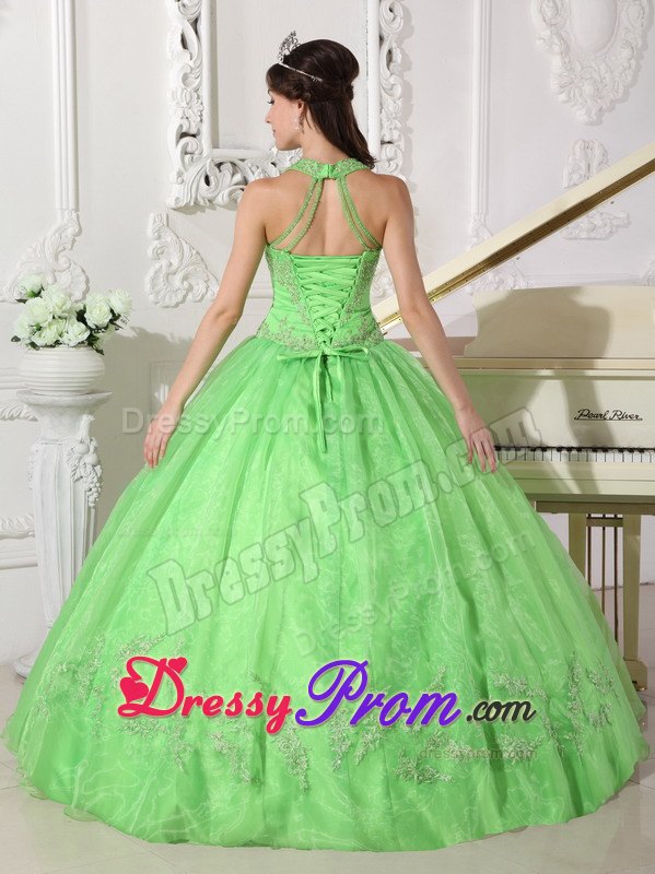 Halter Taffeta and Organza Appliques Quinceanera Dress in Spring Green