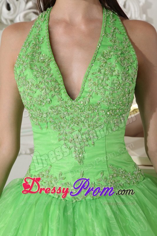 Halter Taffeta and Organza Appliques Quinceanera Dress in Spring Green