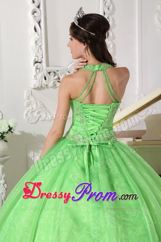 Halter Taffeta and Organza Appliques Quinceanera Dress in Spring Green