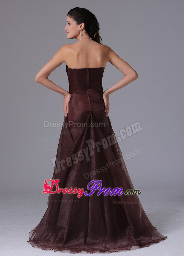 Brown Strapless Arkansas Column Prom Gown Dress With Appliques