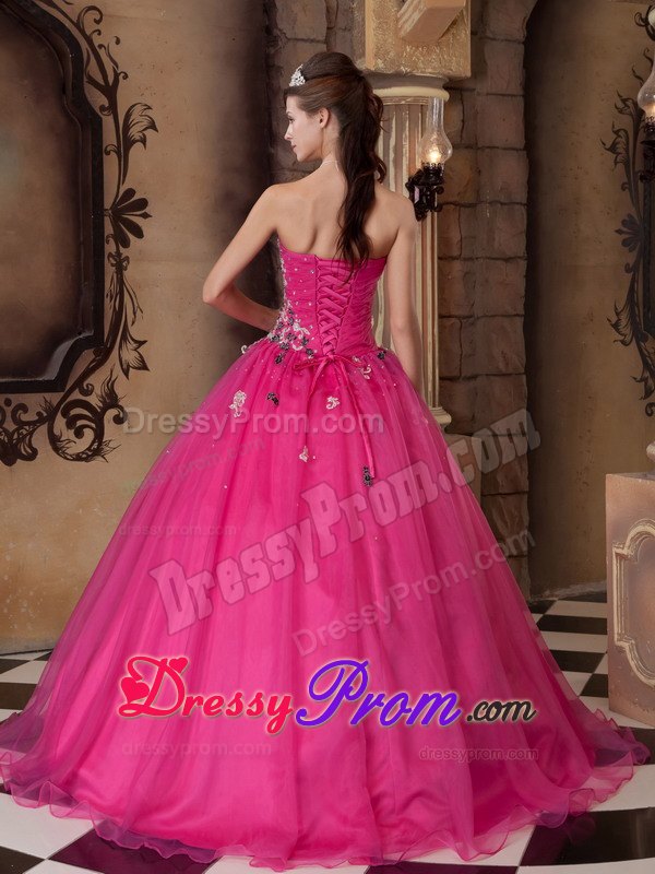 Hot Pink Beading Organza Quinceanera Dress with Colorful Appliques