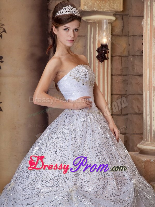 Sequins Strapless Pick-ups Organza Sweet Sixteen Quinceanera Dresses