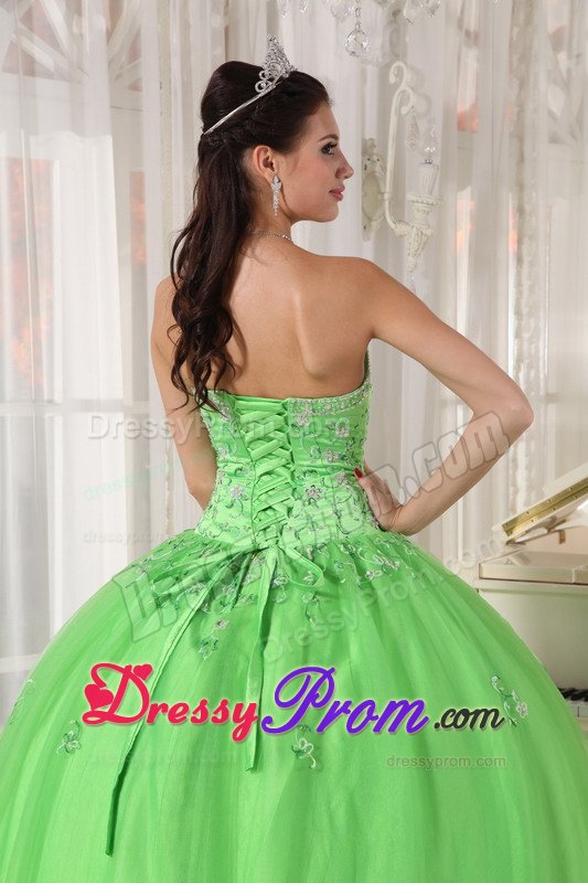 Roseville CA Beaded Taffeta Quinces Dresses in Spring Green 2014