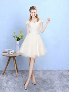 Ideal Tulle Cap Sleeves Knee Length Dama Dress and Lace