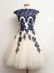 Cheap Appliques Court Dresses for Sweet 16 Blue And White Lace Up Sleeveless Mini Length