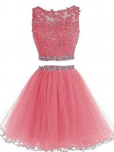 Best Scoop Sleeveless Zipper Prom Dresses Pink Tulle