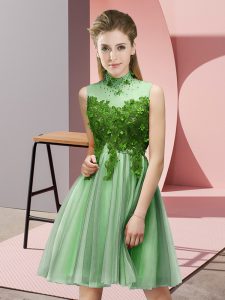 Hot Sale Sleeveless Tulle Knee Length Lace Up Court Dresses for Sweet 16 in Apple Green with Appliques