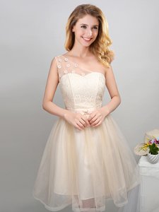 One Shoulder Sleeveless Lace Up Court Dresses for Sweet 16 Champagne Tulle