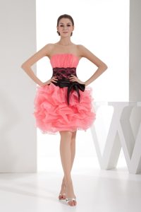 Cute Watermelon Organza Prom Dresses with Sash and Pick ups 2013