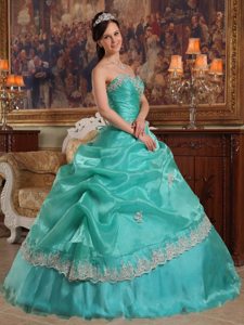 Customized Sweetheart Appliqued Pick Ups Quinceanera Dresses