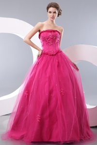 Recommended Hot Pink Beaded Prom Celebrity Dresses Appliques Tulle