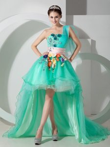 Mint Green One Shoulder High-low Appliqued Prom Homecoming Dress