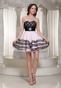 Lace Decorated Sweetheart Prom Nightclub Dresses Organza for Taubate