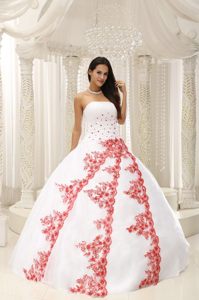 San Clemente CA White Quinceanera Gown with Red Appliques 2014