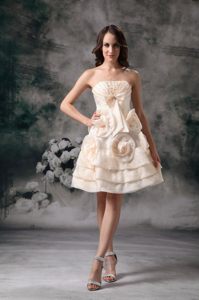Champagne Mini Prom Holiday Dress with Handmade Flowers